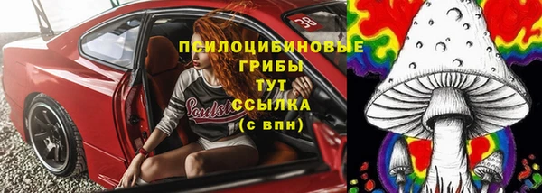 твердый Вяземский