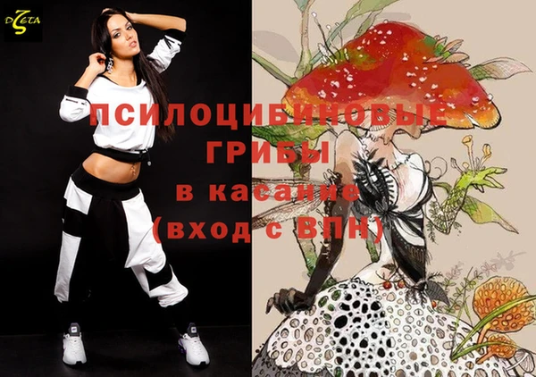 молекула духа Волоколамск