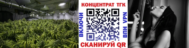 kraken зеркало  Сунжа  ТГК концентрат 