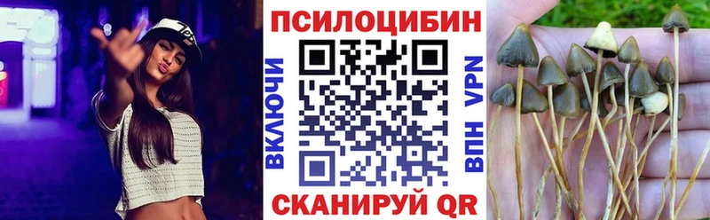 как найти наркотики  hydra ссылки  Галлюциногенные грибы прущие грибы  Сунжа 